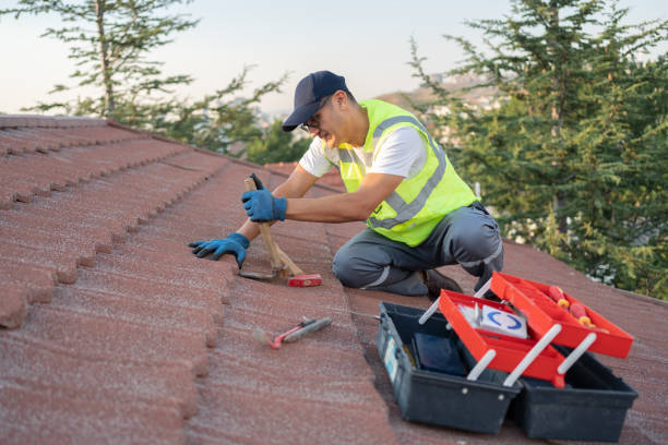 Best Local Roofing Companies  in Weatherby Lake, MO